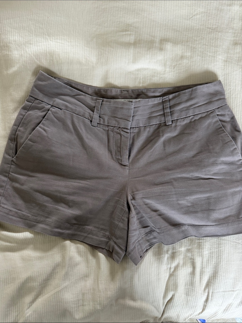 LOFT Light Gray Tailored Women's Shorts